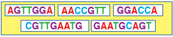 تسلسل النيوكليوتيدات في قطع من DNA